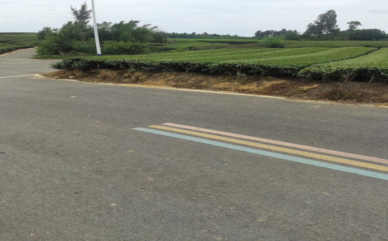 “四好农村路”沿线茶叶山