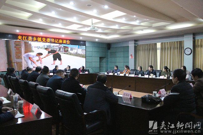 熊伟到夹江调研基层党建工作3